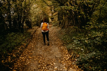 Autumn Forest Hike