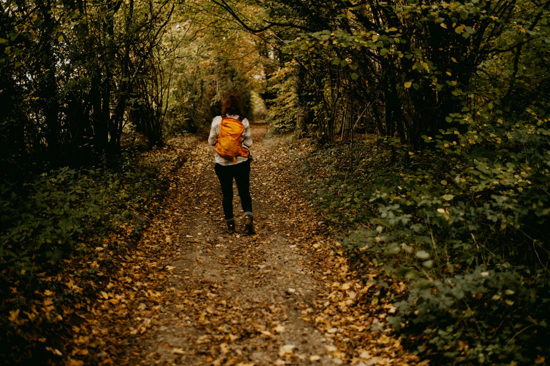 Autumn Forest Hike