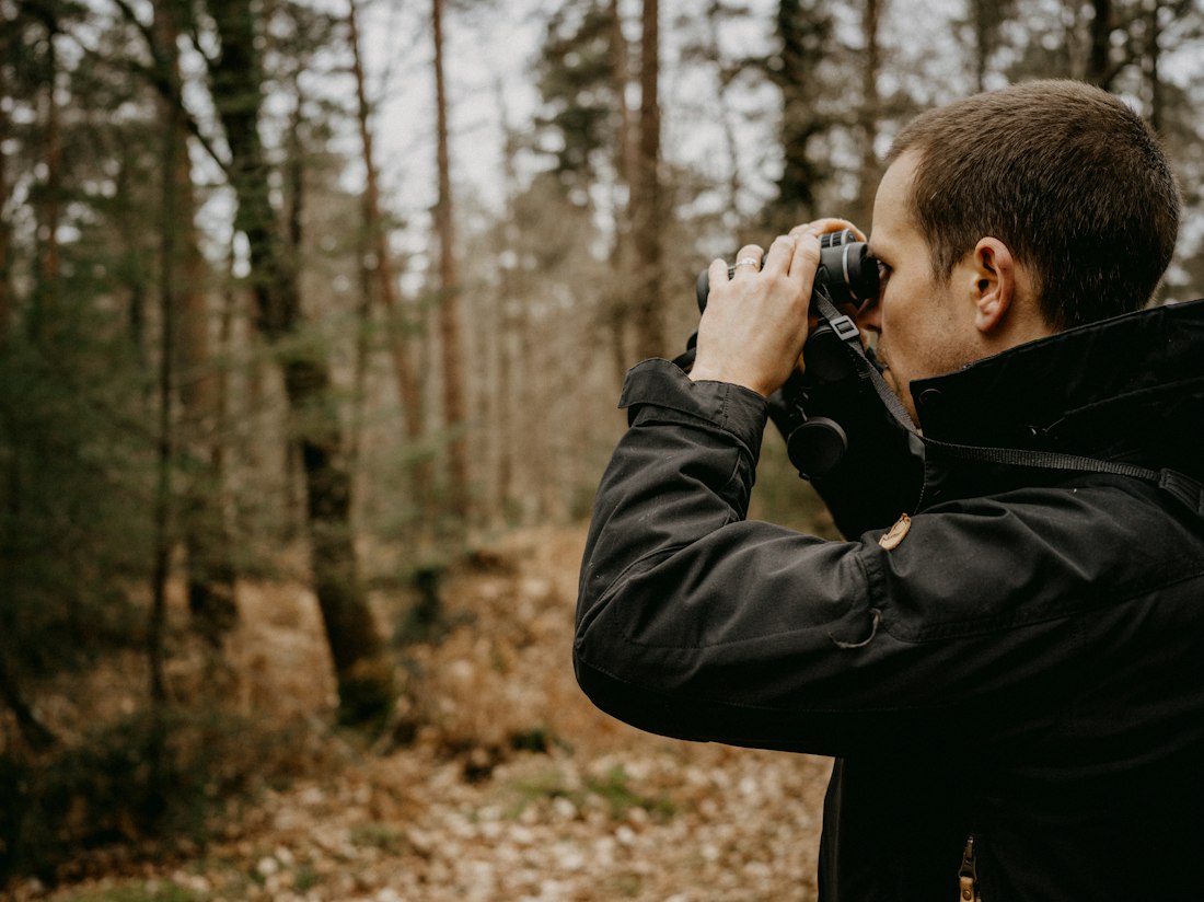 Forest Birdwatching Observation