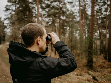 Forest Birdwatching Observation