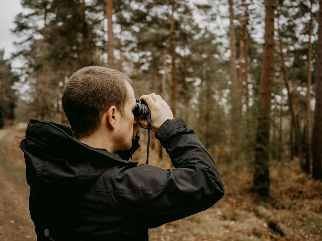 Forest Birdwatching Observation
