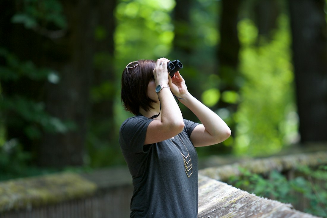 Forest Observation