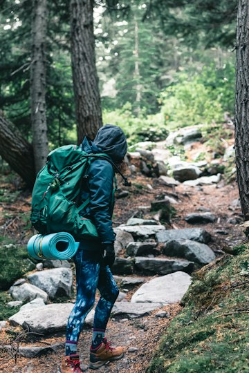 Forest Trekking Adventure