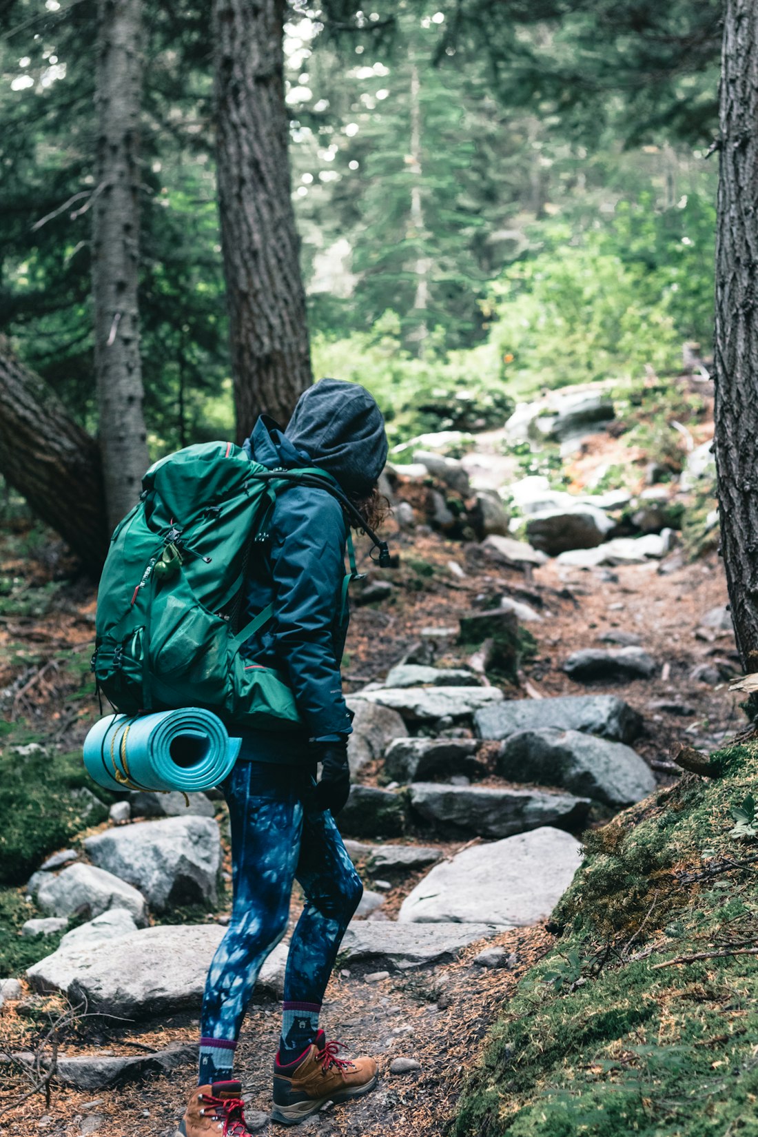 Forest Trekking Adventure