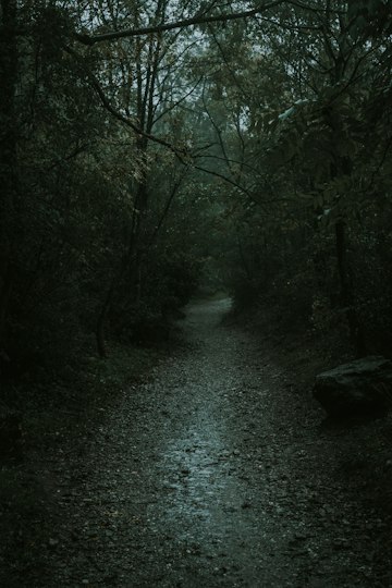 Haunted Forest Path