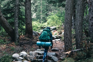 Forest Trekker on Rocky Trail