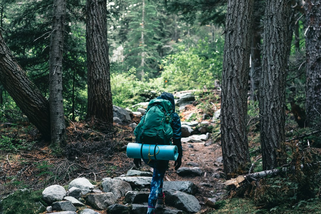 Forest Trekker on Rocky Trail