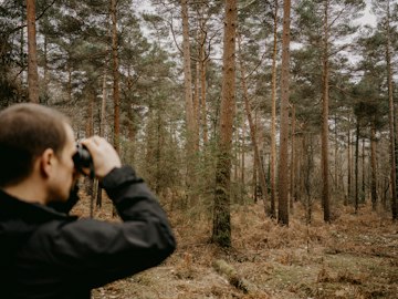 Forest Observation