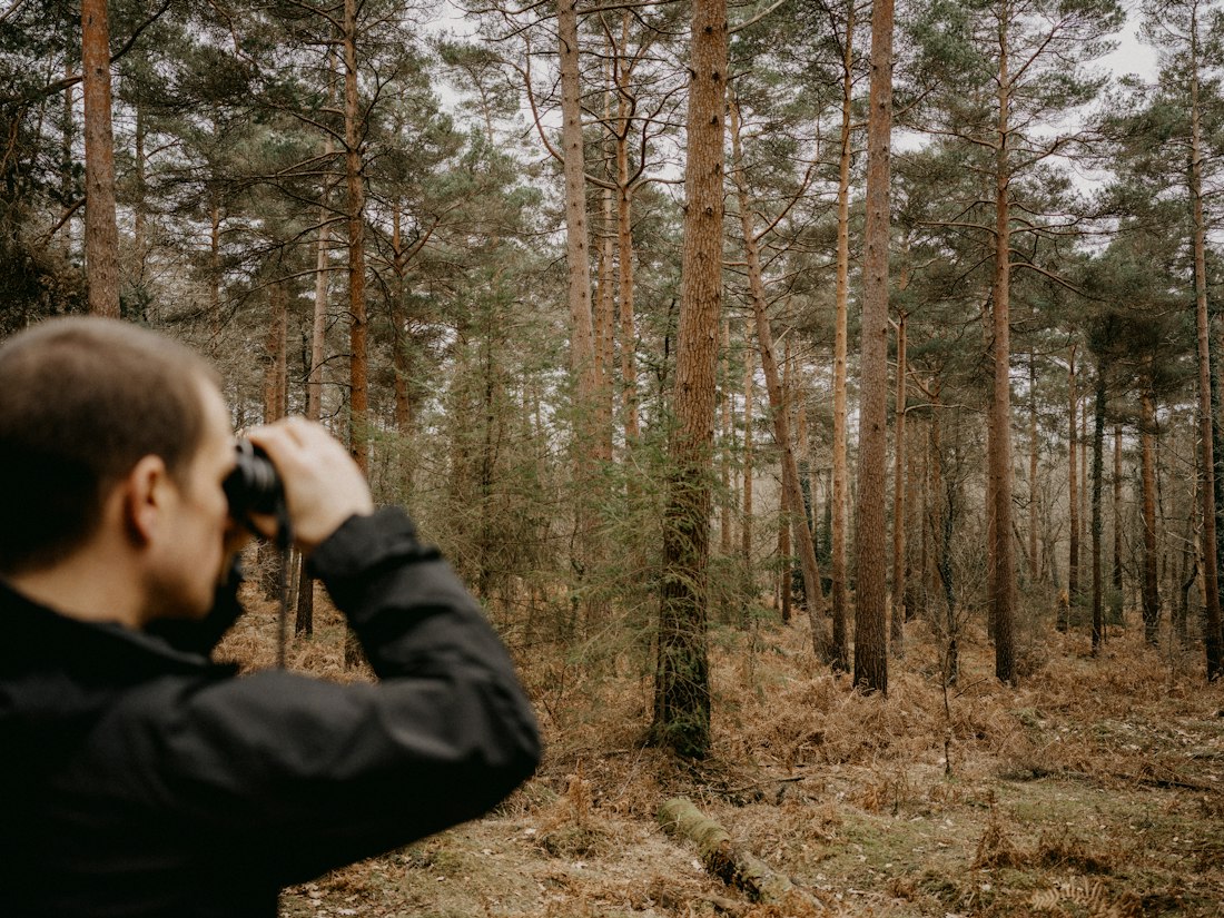 Forest Observation