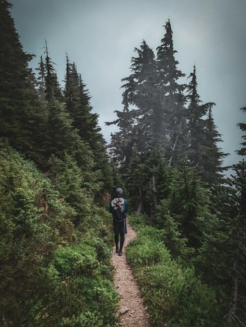 A hiker on a forest trail